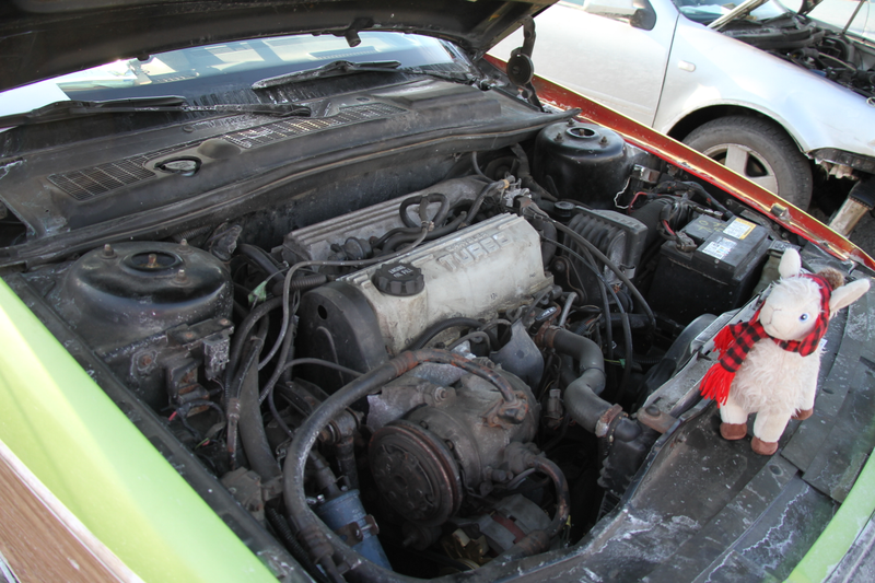 Engine bay and team mascot, who has to appear in every checkpoint photo for points on the rally.